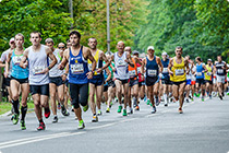 Wyniki Ventriculus Półmaratonu 2023